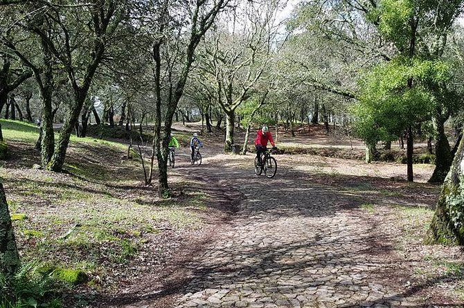 Bicycle rental in Porto for the Santiago de Compostela Road - Santiago return: the one logistics piece you cannot wing