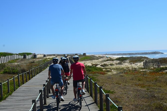Bike or E-Bike Tour of Porto and Atlantic Coast - The pine-forest road to Furadouro: the scenery switch you’ll remember