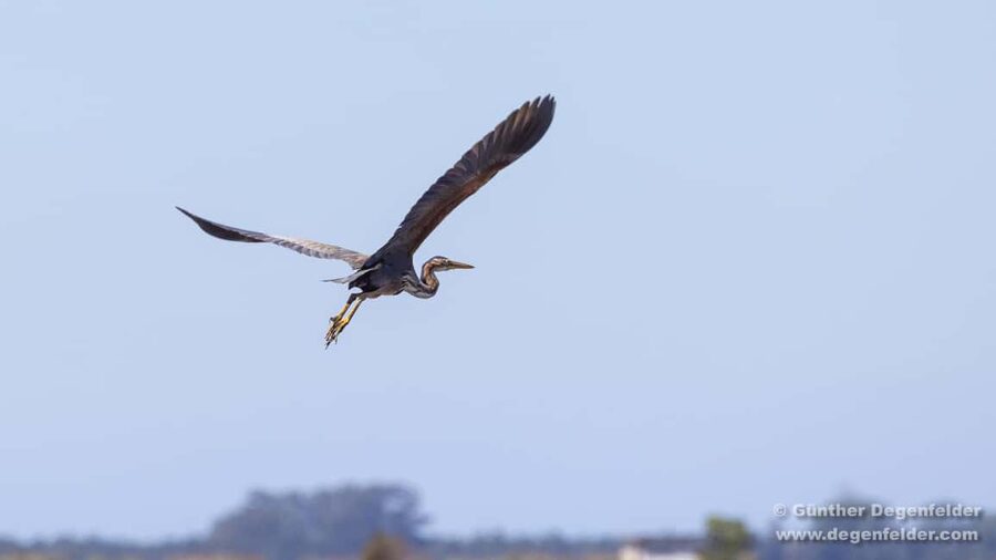 Birdwatching Solar Boat Tour Aveiro Lagon - Stop 1: Cais do Sal in front of Ecomuseu Marinha da Troncalhada