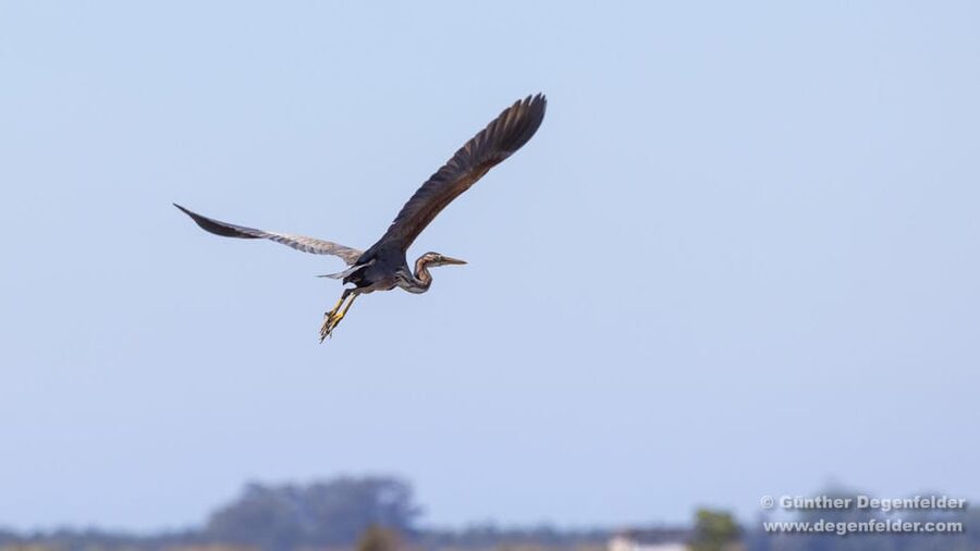 Birdwatching Solar Boat Tour Aveiro Lagon - Price and value: is $49 worth it?