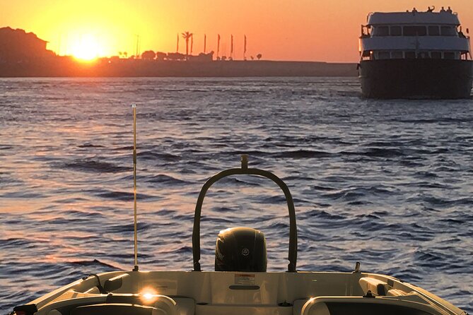 Boat Trip in Douro Porto - Where the tour starts: Marina do Freixo, right by the action