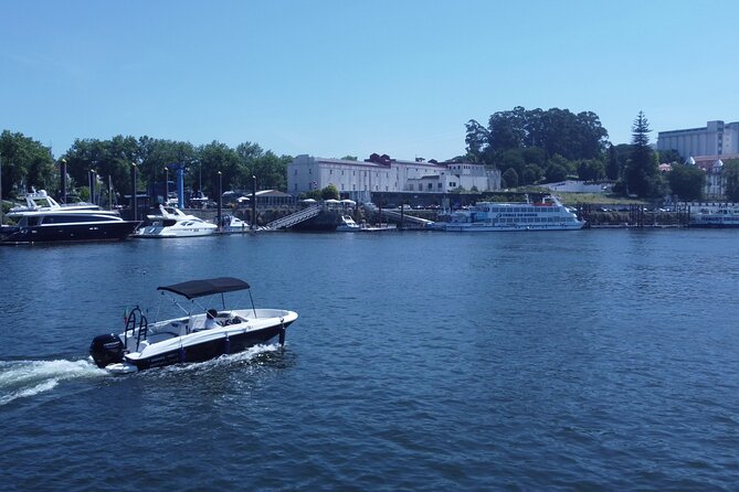 Boat Trip in Douro Porto - Douro River time: the quiet stretch upstream where you can actually relax