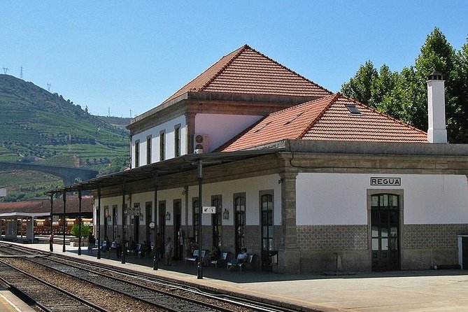 Boat Trip to Régua Through the Douro Valley with Breakfast and Lunch - Meeting points and the 8:30 am start: how to avoid a rough beginning