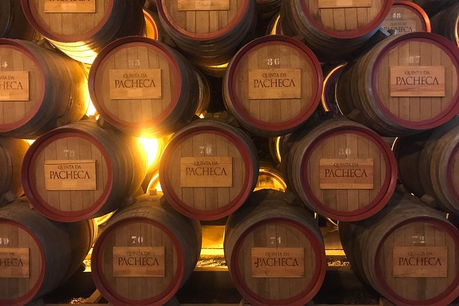Braga and Guimarães Full Day Tour - Why This Porto Day Trip Feels Like Two Vacations