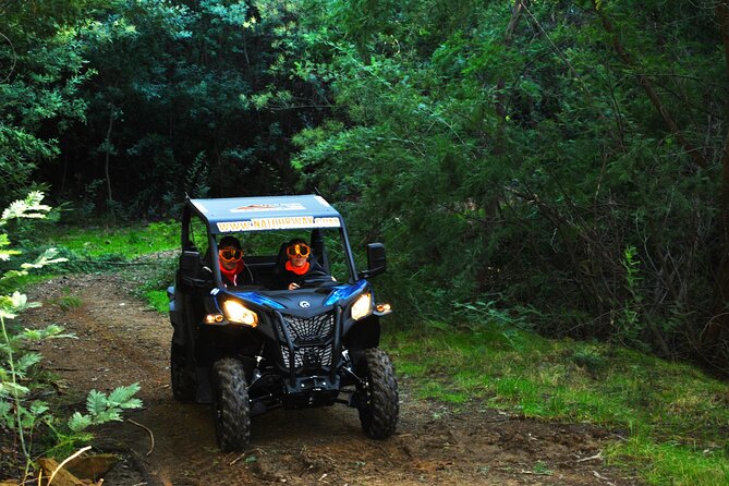 Buggy Experience at Arouca Geopark - Why a Buggy Tour Works So Well in Arouca Geopark