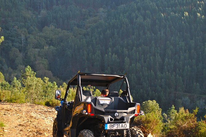 Buggy Experience at Arouca Geopark - The 516 Arouca Moment: Why It Feels Like More Than a Photo Stop