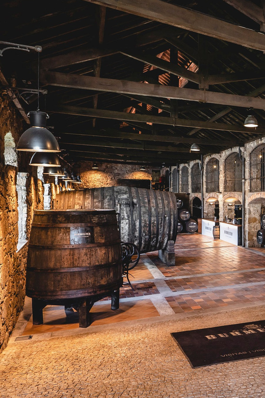 Burmester Cellar Tour - Should you book Burmester Cellar Tour?