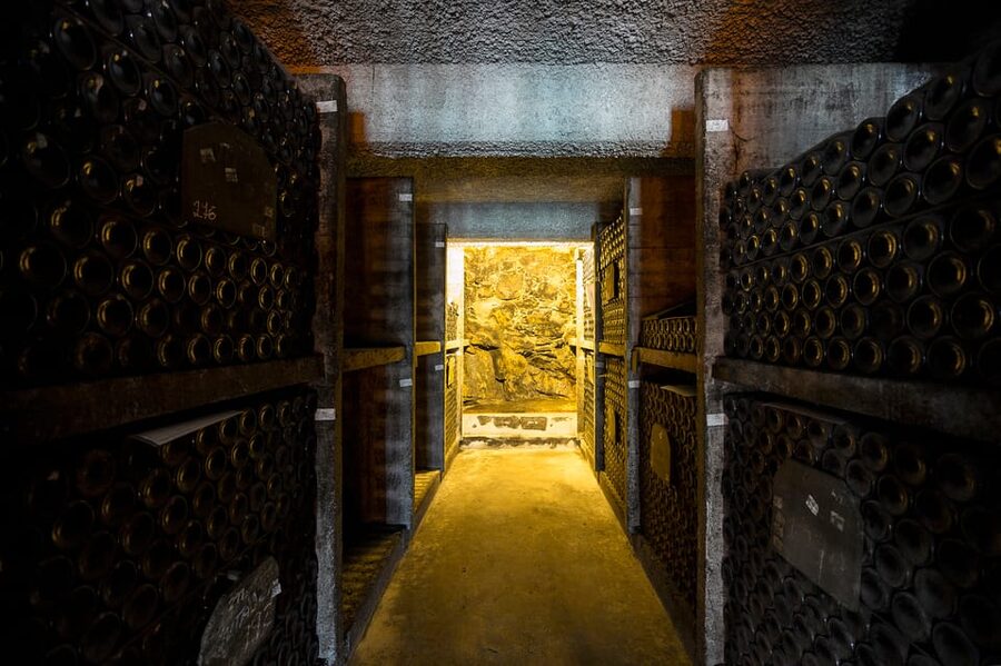 Burmester Cellar Tour - Who should book the Burmester Cellar Tour?