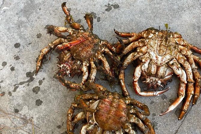 Buy, Cook & Taste-Gastronomic Tour North Portugal - Sea to table: why this Porto-area food tour works