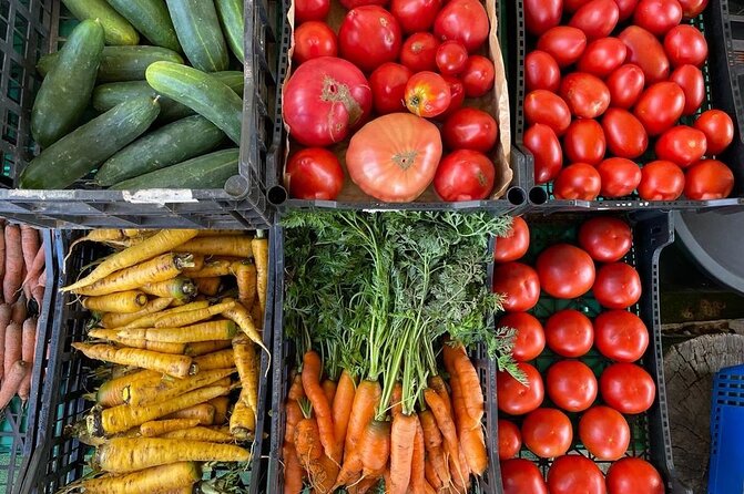 Buy, Cook & Taste-Gastronomic Tour North Portugal - Marco and the sea-to-table hosting style you’ll appreciate