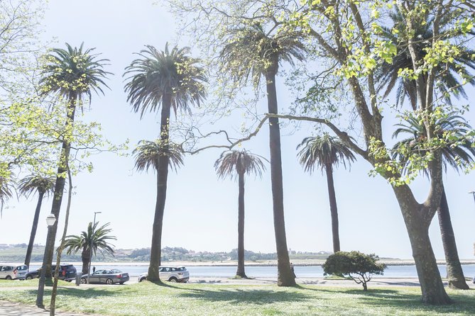 City Bike Rental in Porto - Using the Local Advice to Choose Stops, Beverages, and Seafood