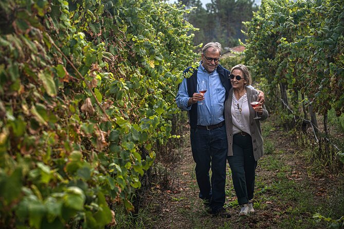 Classic Tasting | Quinta de Santa Cristina Vinho Verde - Kid-Friendly Timing: juice tasting and cookies while adults taste wine