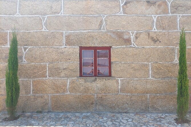 Classic Wine Tasting with GUIDED TOUR - A 60-Minute Stop for Table Wine and Port at Quinta do Beijo