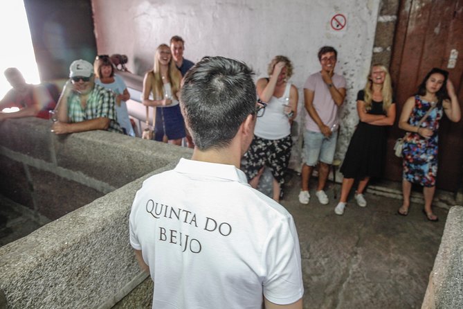 Classic Wine Tasting with GUIDED TOUR - What You Actually Taste: 3 Table Wines plus 2 Ports