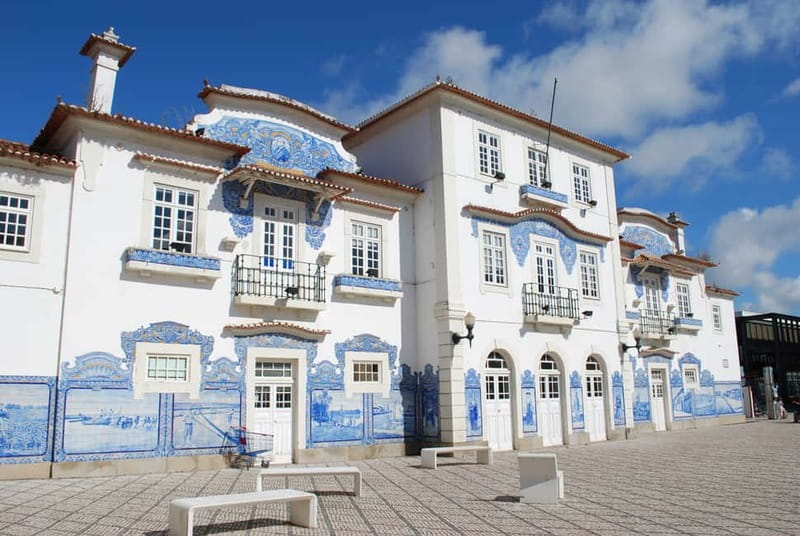 Coimbra & Aveiro Private Tour – Customizable Experience - Optional Moliceiro Boat Ride: 45 Minutes on Traditional Canals