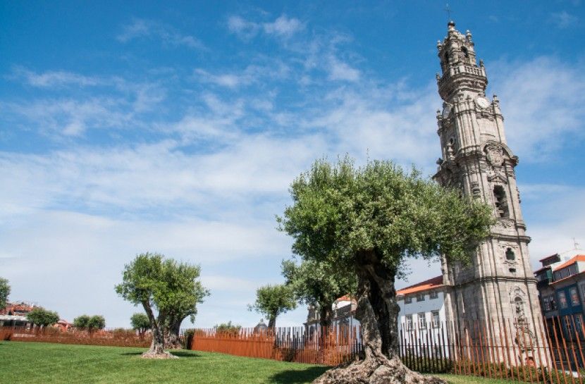 Combo: Porto City Half-Day Tour & Aveiro Half-Day Tour - Porto Meets Aveiro: how this 8-hour combo actually plays out