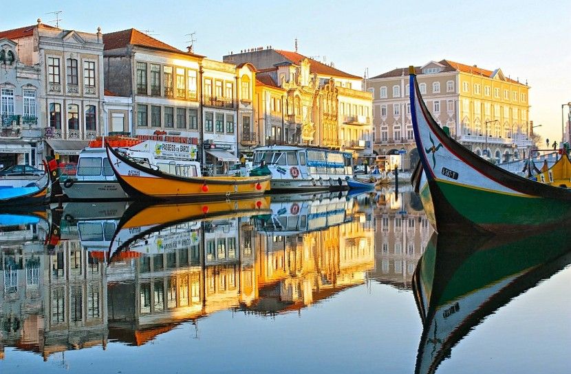 Combo: Porto City Half-Day Tour & Aveiro Half-Day Tour - Port wine cellar visit and tasting: what you learn beyond the label