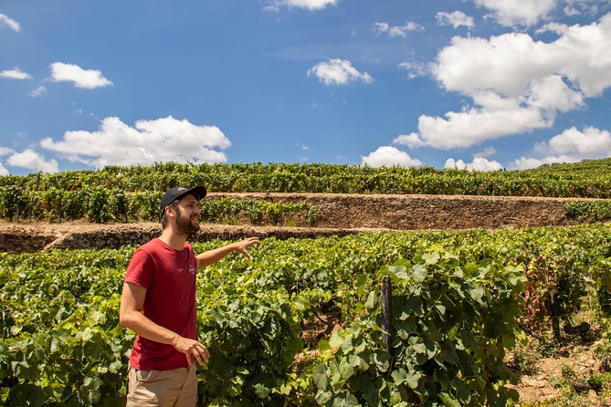 Complete Douro Valley Wine Tour with Lunch, Wine Tastings and River Cruise - Quick Highlights You’ll Feel All Day Long