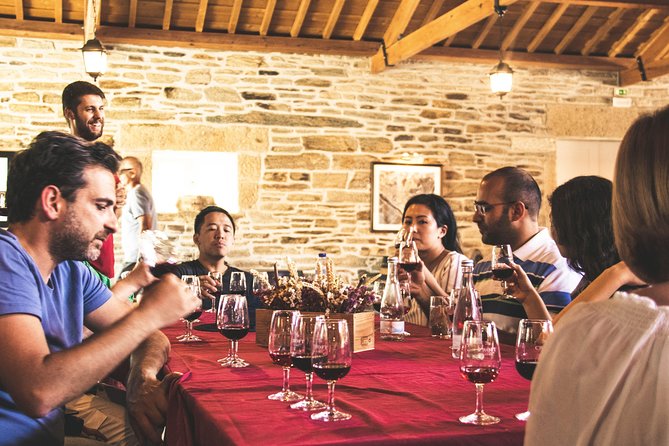 Complete Douro Valley Wine Tour with Lunch, Wine Tastings and River Cruise - Why a Douro Day Trip Beats DIY From Porto