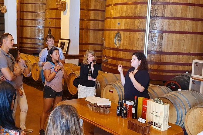 Complete Douro Valley Wine Tour with Lunch, Wine Tastings and River Cruise - The Drive Into the Douro: Coffee Breaks and Cultural Context