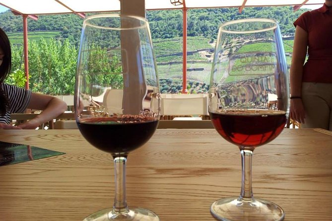 Complete Douro Valley Wine Tour with Lunch, Wine Tastings and River Cruise - The Douro Valley Stop: UNESCO Views and the Big Picture