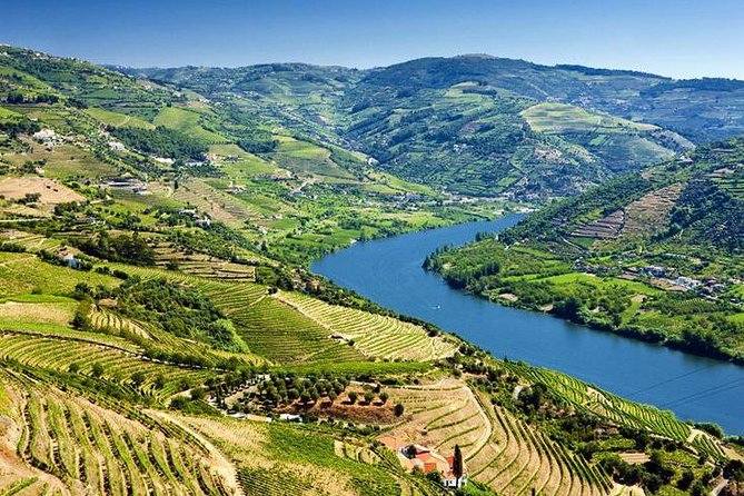 Complete Douro Valley Wine Tour with Lunch, Wine Tastings and River Cruise - Sabrosa Winery Time: Tastings Before Lunch