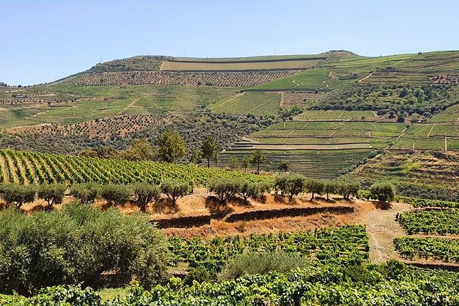 Complete Douro Valley Wine Tour with Lunch, Wine Tastings and River Cruise - After Lunch: São Cristovão do Douro Viewpoint and Photo Stop