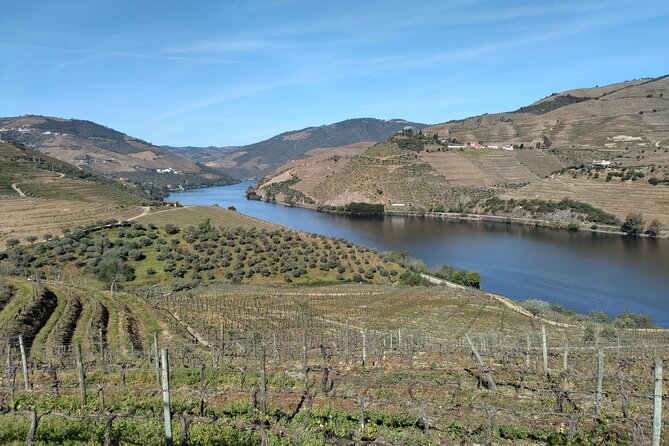 Complete Private Douro Valley Wine Tour - Potential drawbacks to weigh before you go