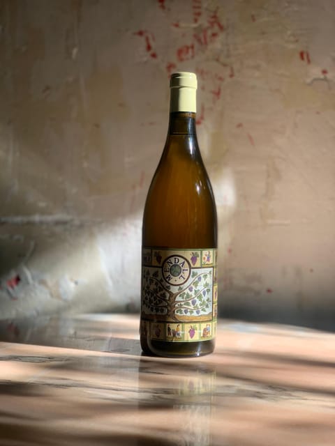 Córdoba: Discover the Soul of Spanish Natural Wine & Cuisine - Córdoba and Spanish natural wine, why this combo works