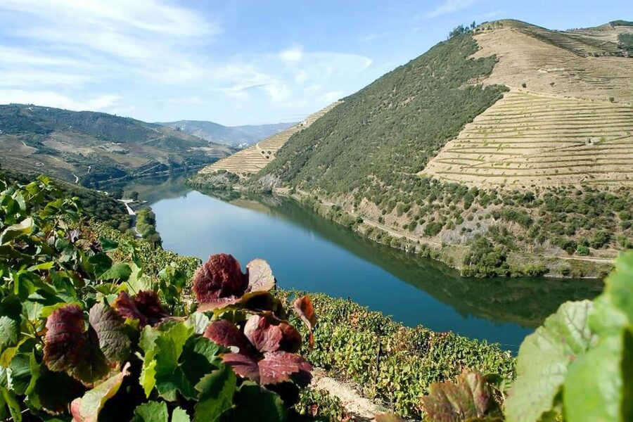 Day Cruise from Porto to Pinhão with Breakfast and Lunch - Pinhão vineyard country: why the terraced vines matter