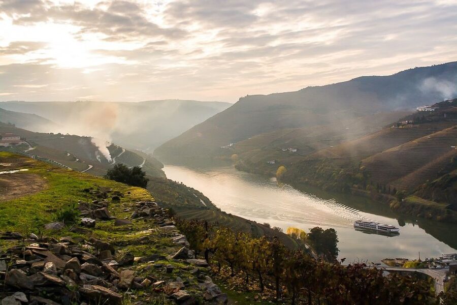 Day Cruise from Porto to Pinhão with Breakfast and Lunch - Return to Porto by bus: plan for a long day