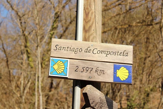 Day Trip from Porto to Santiago de Compostela and Valença - Santiago de Compostela: UNESCO streets, a cathedral focus, and real time to walk