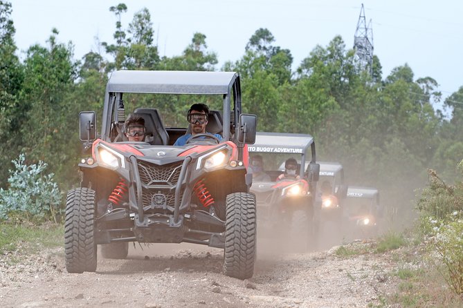 Dirt and Dust Tour by Oporto Buggy - Rally Shakedown Pass: Where the Adrenaline Comes From