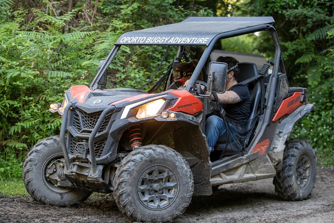Dirt and Dust Tour by Oporto Buggy - What’s Included, What’s Not, and the True Cost