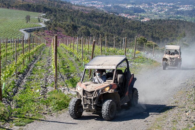 Dirt and Dust Tour by Oporto Buggy - Group Size, Timing, and Weather: The Stuff That Changes Your Day