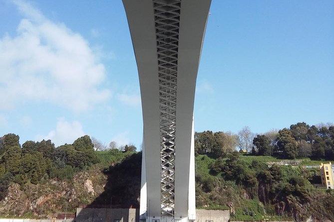 Discovering Porto in an eco-friendly vehicle - Serra do Pilar viewpoint: the Porto photo angle across the Douro