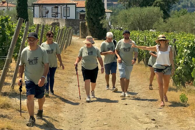 Douro: luxury walking tour with lunch at Quinta da Pacheca - Refined Lunch at the Quinta da Pacheca Restaurant (and Why It’s a Big Deal)
