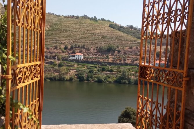 Douro: luxury walking tour with lunch at Quinta da Pacheca - Old Wine Cellars: The Part Where the Stories Get Specific