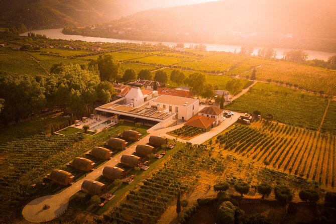 Douro: luxury walking tour with lunch at Quinta da Pacheca - Getting There and Staying Comfortable (Pickup, Timing, and What to Pack)