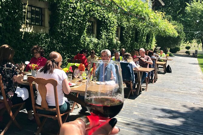 Douro: luxury walking tour with lunch at Quinta da Pacheca - The 2 Hour Walk: Views Over the Douro River, With Real Terrain