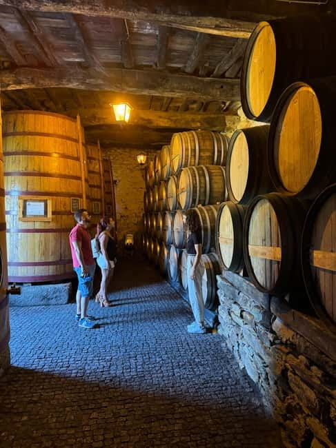 Douro offroad experience: visit to a winery and a picnic - Winery tour and wine tasting that stay grounded in reality