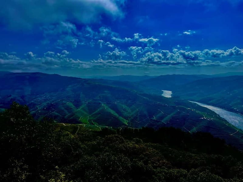 DOURO PREMIUM - Why This Douro Day Feels Like It Adds Up