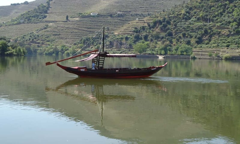 Douro Private Signature Tour – Customizable Experience - Who this Douro private day suits best
