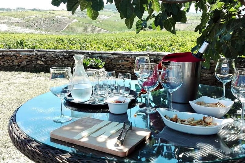 Douro Private Signature Tour – Customizable Experience - From Porto to the Alto-Douro, the drive is half the point