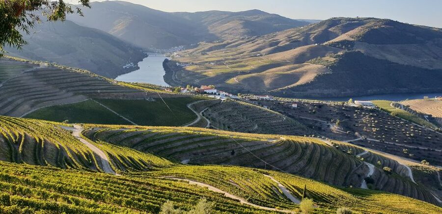 Douro Private Signature Tour – Customizable Experience - Douro river cruise options: shared vs private boat with tasting