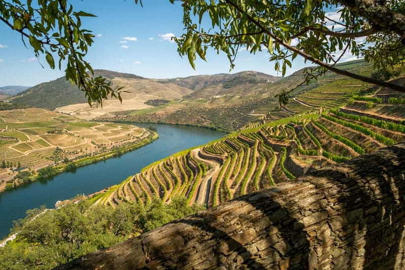 Douro Private Signature Tour – Customizable Experience - Your day, your choices: wine tasting, lunch, and boat ride