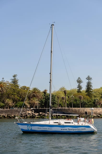 Douro River Cruise with Cheese & Tonic Porto in a Sailboat - Arrábida Bridge: where the skyline starts to make sense