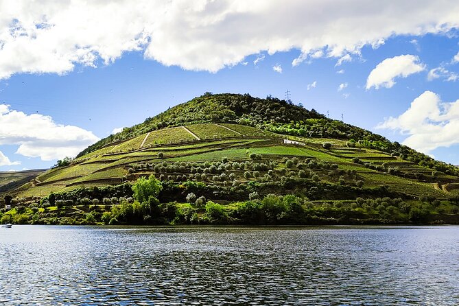 Douro | Roots & History - Tour with a local - Key points that make this Douro tour worth your time
