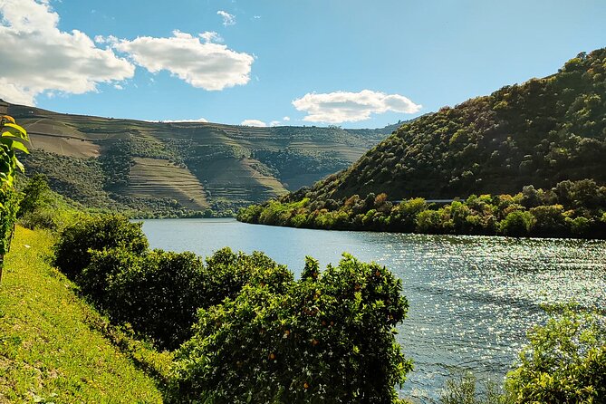 Douro | Roots & History - Tour with a local - Getting out of Porto early, and why that matters