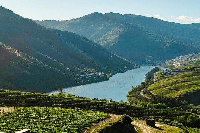 Douro | Roots & History - Tour with a local - Rabelo boat time on the Douro River
